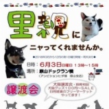 犬猫譲渡会