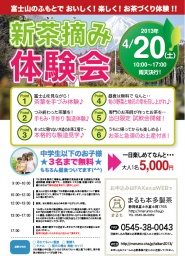 富士山のふもとで新茶摘み・お茶づくり体験会2013