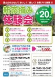 富士山のふもとで新茶摘み・お茶づくり体験会2013
