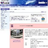 「天保山ワールド･パフォーマンス･フェスティバル2008」を開催