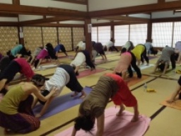 高尾山ヨガ~YOGA、精進料理、寺院、高尾山ハイキング~-M's shala(エムズ・シャラ) - yoga & p...