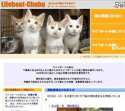 子猫との面会日