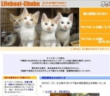 子猫との面会日