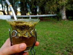 第2回 本場のマテ茶の飲み方を体験しよう!