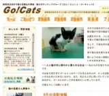 子猫・若猫譲る会