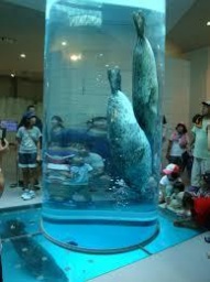 日本平動物園出会い作り散策