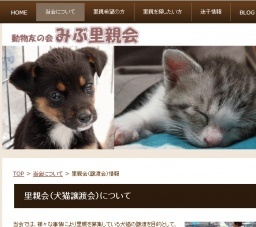 里親会（犬猫譲渡会）
