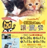 にゃんクルー譲渡会