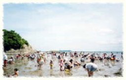 赤穂唐船サンビーチ　潮干狩り情報