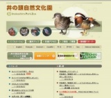 カイツブリの子育て、その２