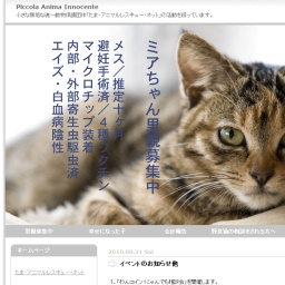 わんコイン・にゃんでも相談会