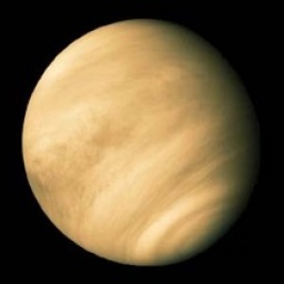 西洋占星術ワークショップ「金星」