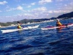 平日アウトドア/シーカヤックツアー 社会人サークルFEAD