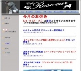 夏休み子供工作教室（ブリザーブドフラワー）８／１２・２３開催！