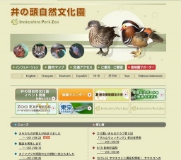 カモたちの衣替えが始まりました