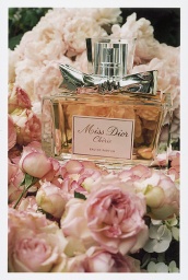 『女子力アップ！　働き女子のためのフォーラム』