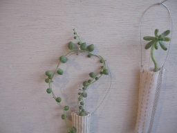 第六回「夕べの集い」 WORK SHOP – 植物 × 布 