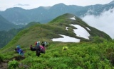 おやじてれまーかーと登る残雪の花咲き乱れる雨飾山登山