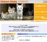 子猫との面会日