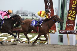 初心者限定！競馬入門（全２回）5/8・5/15