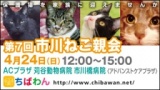 保護猫を家族に迎える譲渡会「ちばわん　市川ねこ親会」