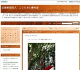 ツリークライミング体験