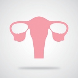 ◆月経血コントロール子宮美人ヨガ◆～PMS対策や女性ホルモンのバランス改善にも効果的～