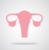 ◆月経血コントロール子宮美人ヨガ◆～PMS対策や女性ホルモンのバランス改善にも効果的～