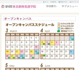 ねこちゃんふれあいDay