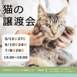 猫の譲渡会