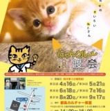 にゃんクルー譲渡会