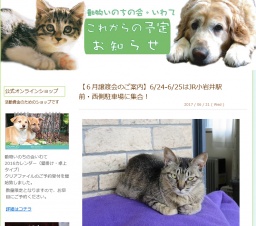 地産地消フェスタ譲渡会・フリマ