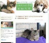 地産地消フェスタ譲渡会・フリマ