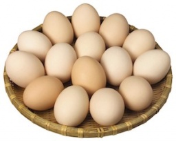 東都生協の新鮮野菜産直即売会 | ハウスクエア横浜