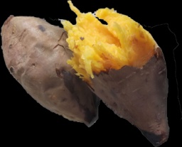 鹿児島県種子島産の安納芋焼き芋を召し上がれ！ | ハウスクエア横浜