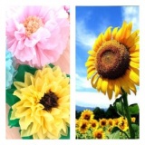 ジャイアントフラワーワークショップ