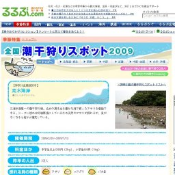 走水海岸（神奈川県）の潮干狩り情報