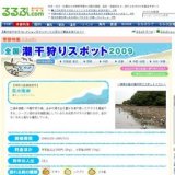 走水海岸（神奈川県）の潮干狩り情報