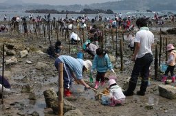 岩井崎・お伊勢浜 潮干狩り情報