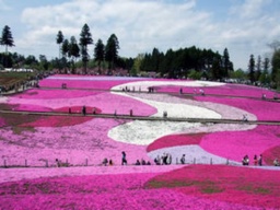 [日帰りツアー・体験イベント]［平日］秩父 日帰り遊びプラン（いこいの村 美の山）