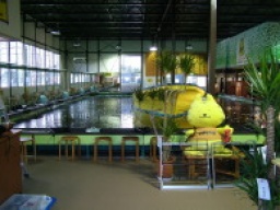 平日限定月間ポイントランキング