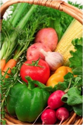 野菜ソムリエに習うヘルシー お料理恋活