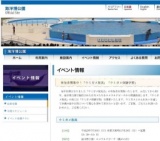 参加者募集中！「ウミガメ放流」「ウミガメ体験学習」