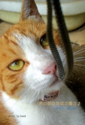 動物愛護チャリティコンサート