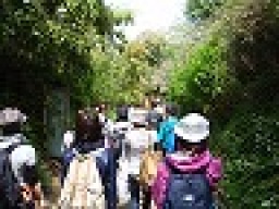 ナイトトレッキングツアー in 富士山　　アウトドア社会人サークルFEAD