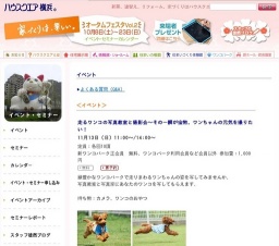 走るワンコの写真教室と撮影会～その一瞬が宝物。ワンちゃんの元気を撮りたい！』