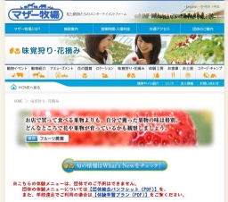 菜の花摘み