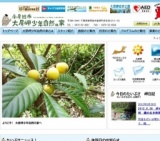 大房海の日スペシャル！！　磯の生き物発見ツアー