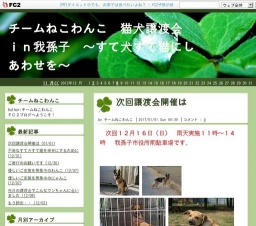 ねこわんこ　譲渡会