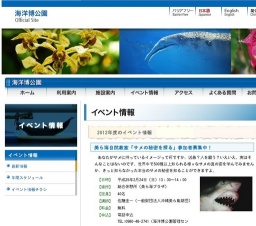 美ら海自然教室「サメの秘密を探る」参加者募集中！